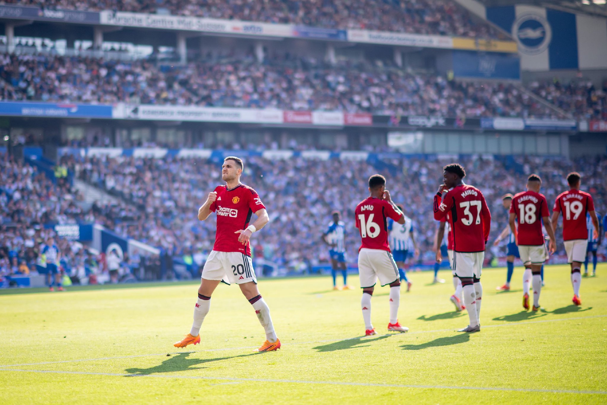 竞争生态中 竞争生态中